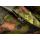 Invader Gear Predator Combat Pant M CAD