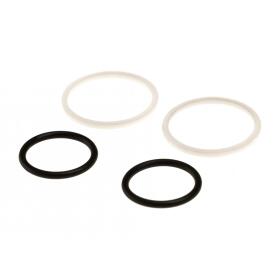 Action Army AAC21 Co2 Magazine O-Ring Set