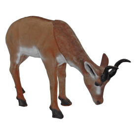 STRONGHOLD Targets 3D ELITE - Antilope