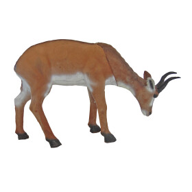 STRONGHOLD Targets 3D ELITE - Antilope