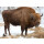 STRONGHOLD Tierauflage - Bison - 59 x 83 cm - wasserabweisend/reißfest