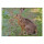 STRONGHOLD Tierauflage - Hase - 30 x 42 cm - wasserabweisend/reißfest